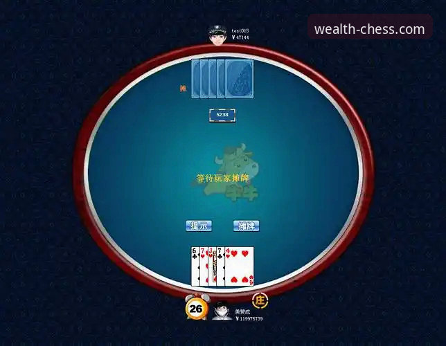 大富豪棋牌2026官网入口必备：从下载到畅玩的完整操作教程